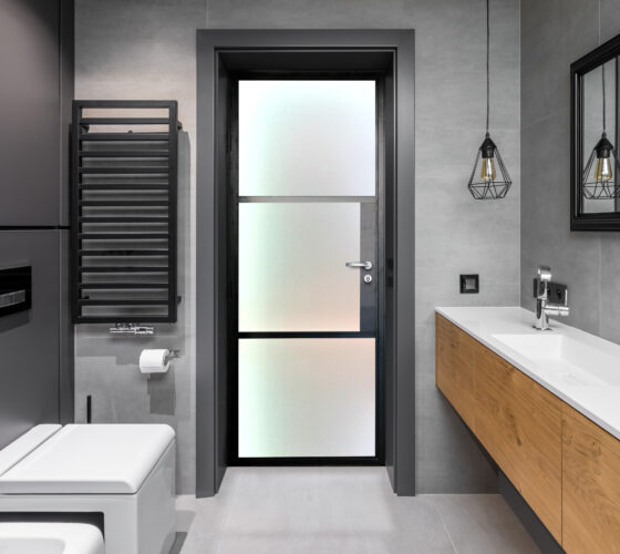 Bathroom Image With Satin Glass